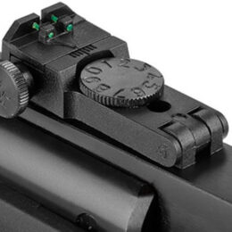 Carabina de Pressão Hatsan Striker 1000S - CONARMAS